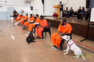 Inmates working with their dogs in Pennsylvania